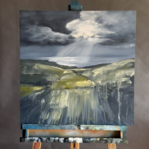 Fleeting Light - Southdowns