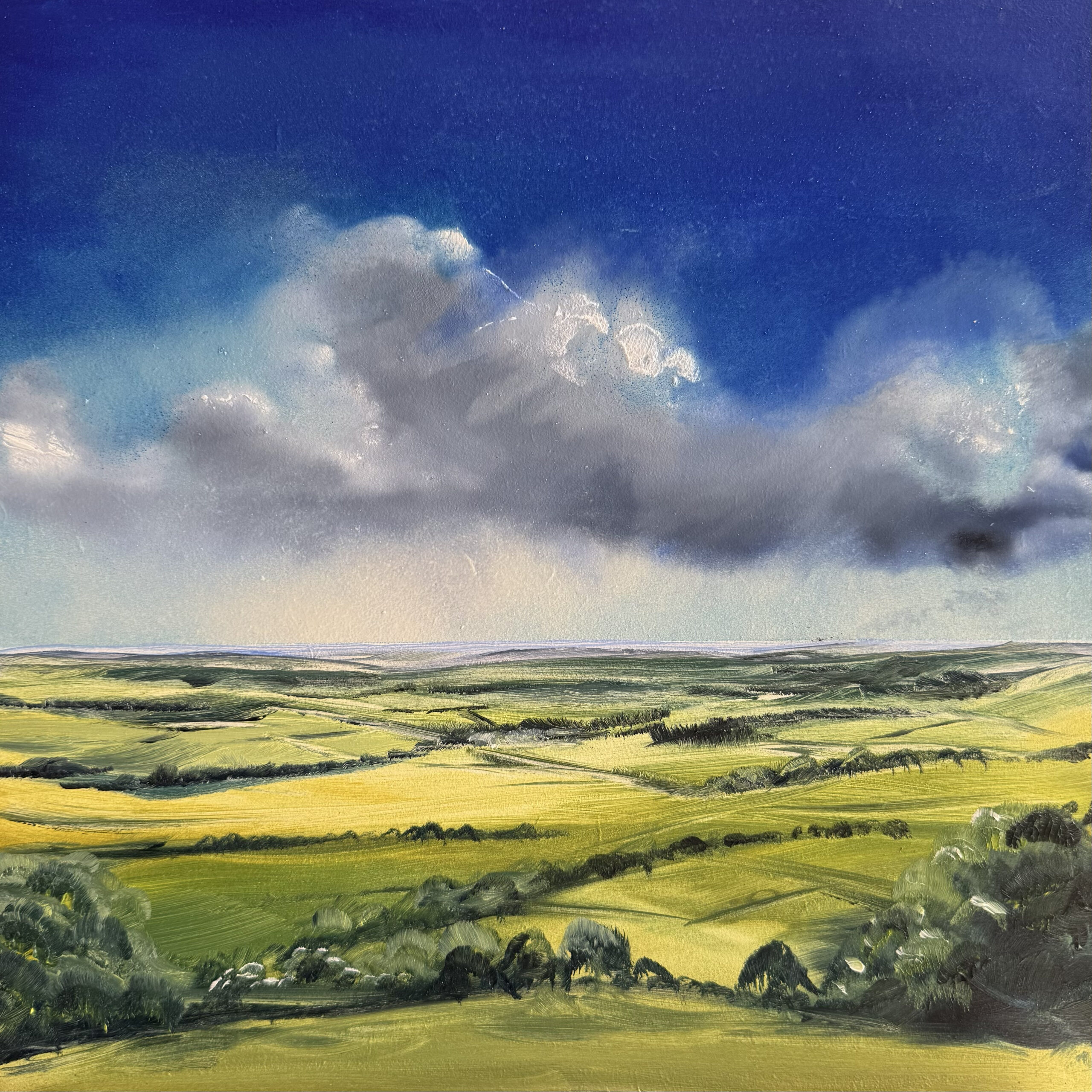 Sussex Landscape Oil painting on Board